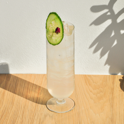 Thé Glacé Concombre - Monin France