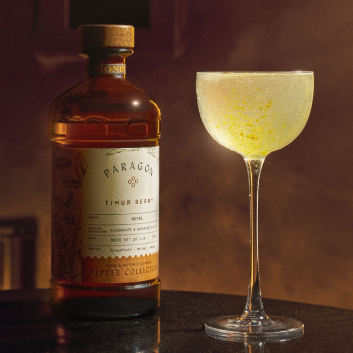 Timur Daiquiri + bouteille - Monin France