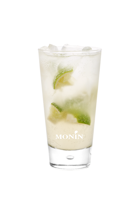 Tonic Gingembre et Miel - Monin France