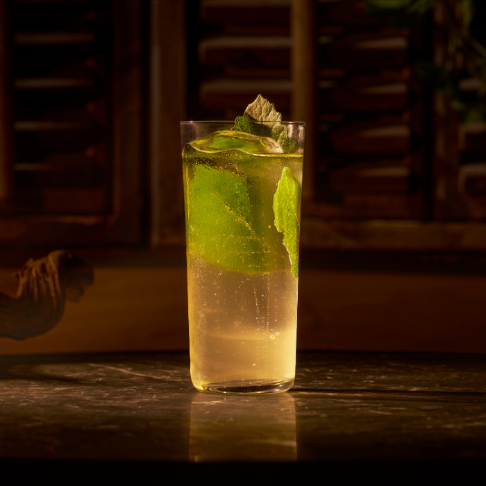 Vetiver Roots - Monin France