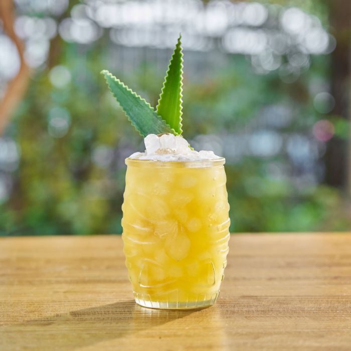 Vibes - Monin France