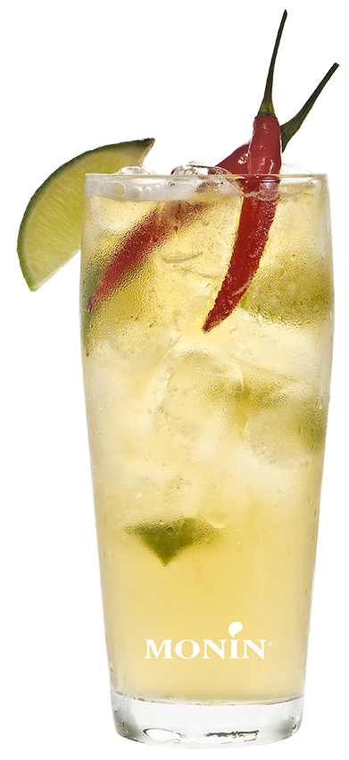 Virgin Chelada - Monin France