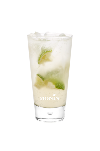 Vodka Rickey Anis - Monin France