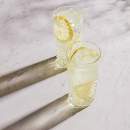 Vodka Tonic Citron Vert - Monin France