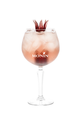 Gin Tonic Hibiscus