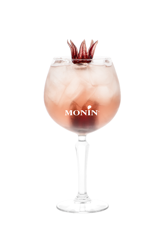 Gin Tonic Hibiscus